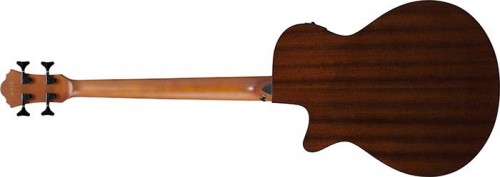 Ibanez AEGB24FE