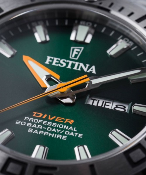 FESTINA F20665/2