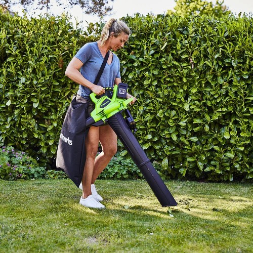 Greenworks GD24X2BV 2405307