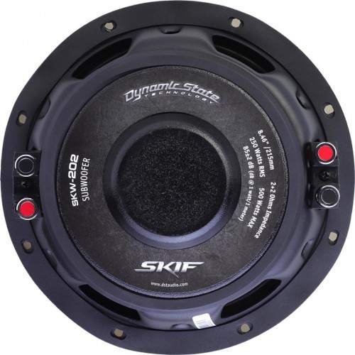 Dynamic State SKIF SKW-202