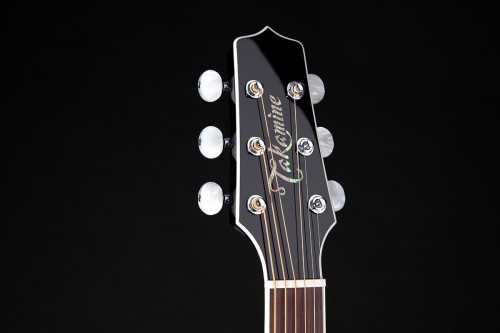 Takamine EF341DX