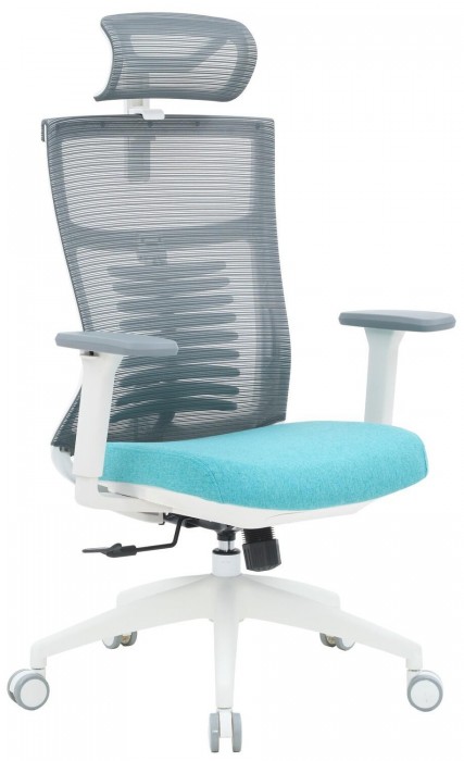 OfficePro Balance OC550