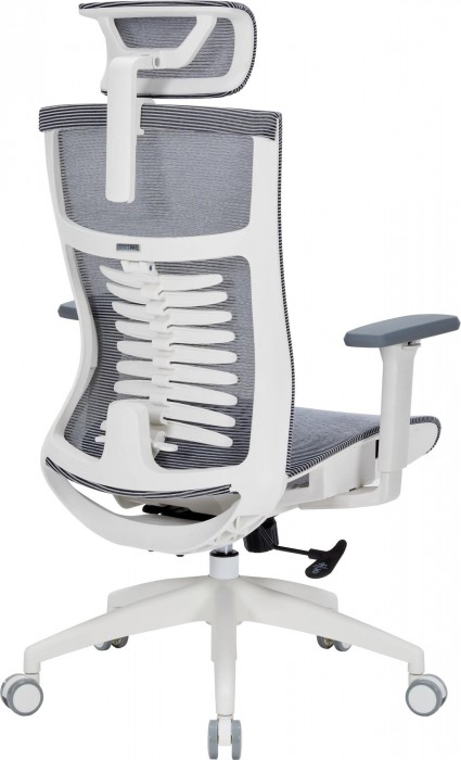 OfficePro Balance OC620