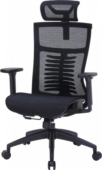 OfficePro Balance OC620