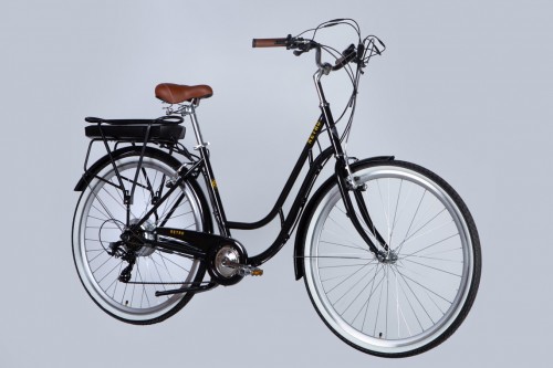 Dorozhnik Retro DD FR 250W 2025