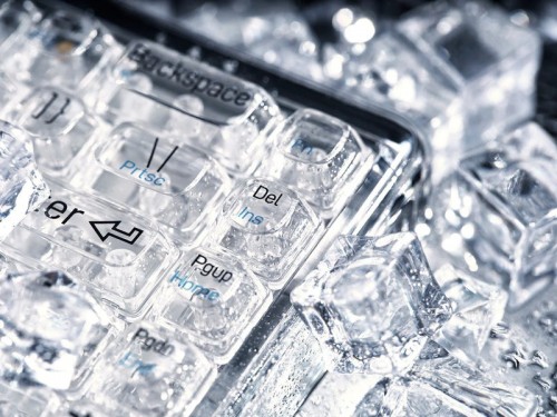Lofree 1% Transparent