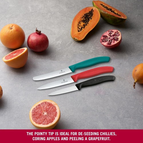 Victorinox Swiss Classic 6.7116.34C1