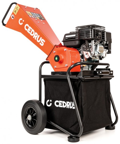 Cedrus RB01C