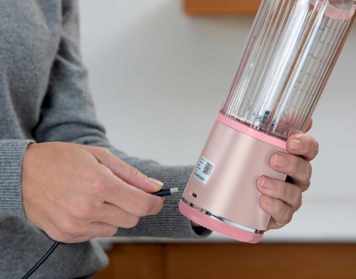 Ninja Blast Portable Blender