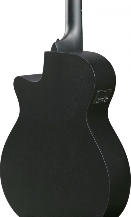Ibanez AEG1221