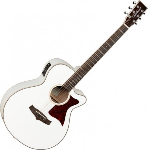 Tanglewood TW4