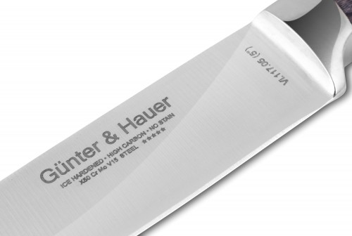 Gunter&Hauer Vi 117 05