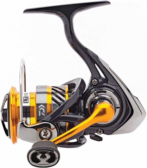 Daiwa Revros LT 1000