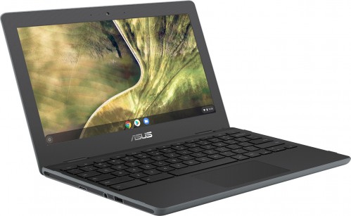 Asus Chromebook C204MA