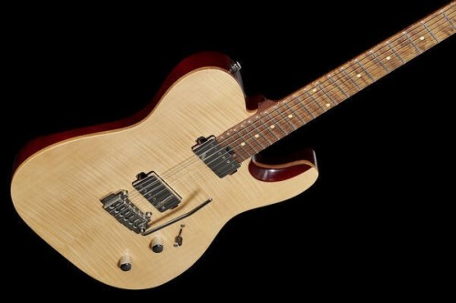 Harley Benton Fusion-T HH