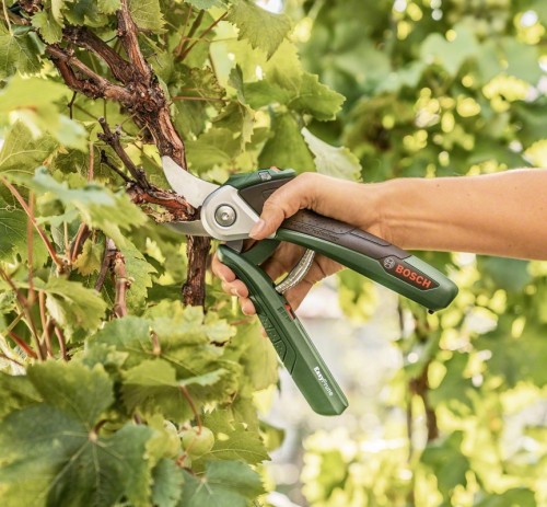 Bosch EasyPrune (06008B2000)