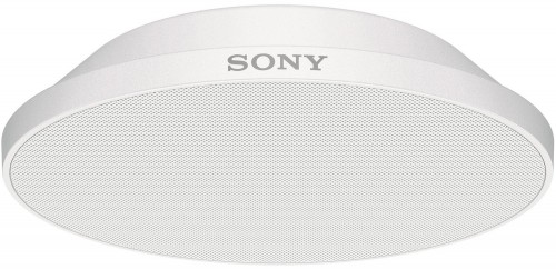 Sony MAS-A100