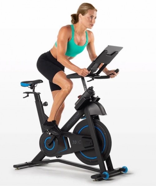 Horizon 7.0 IC Indoor Cycle