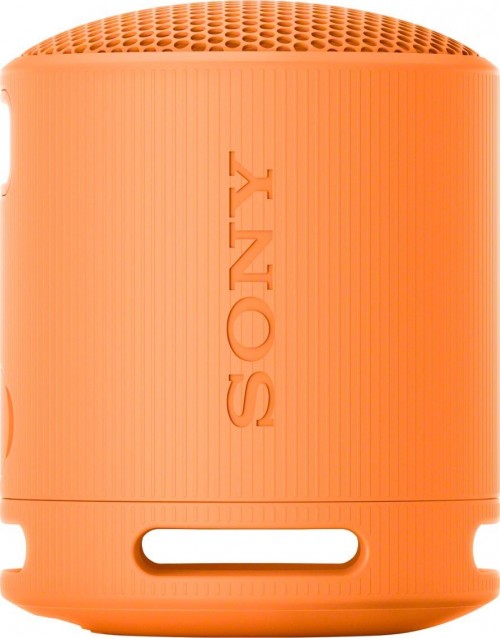 Sony SRS-XB100