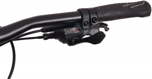 MBM Maxilux 29 2022
