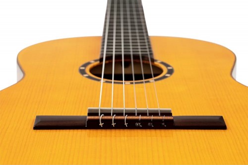 Ortega R170F
