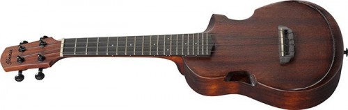 Ibanez AUC14