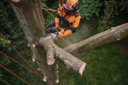 STIHL MSA 220 T