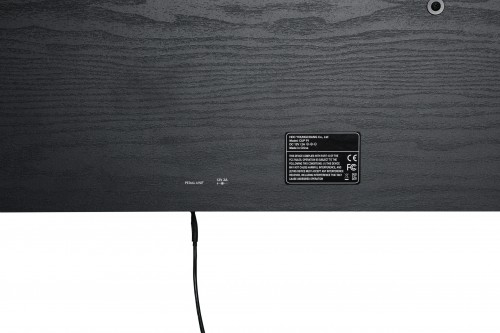 Kurzweil CUP P1
