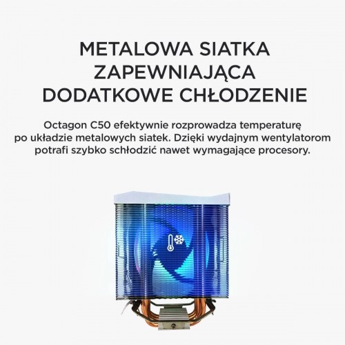 Rampage Octagon C50 White