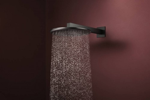 Hansgrohe Raindance Alive S 300 24540000