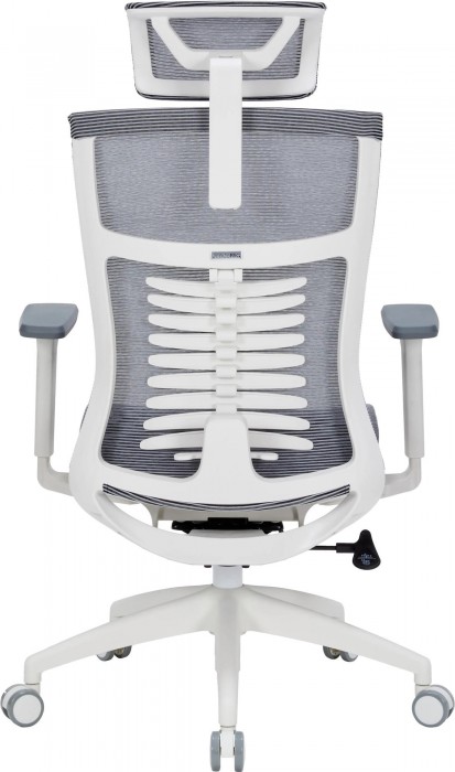 OfficePro Balance OC620