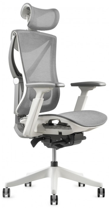 ADAPWORK S1 Mesh Senior ErgoChair