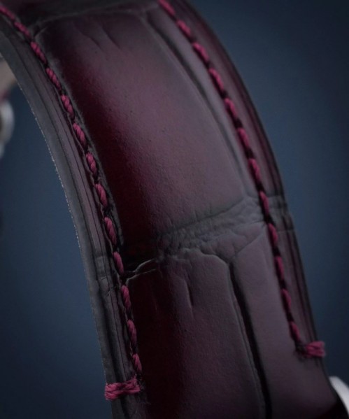 Zeppelin LZ120 Bodensee 8166-5