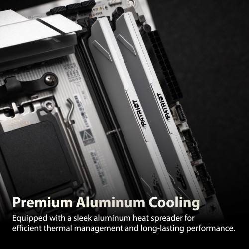 Patriot Memory Signature Premium DDR5 1x16Gb