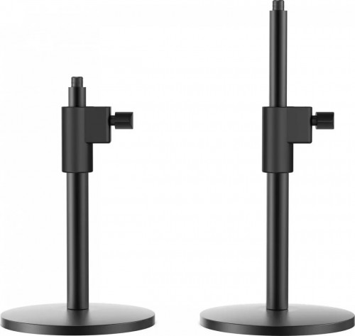 Preyon Buzzard Scream