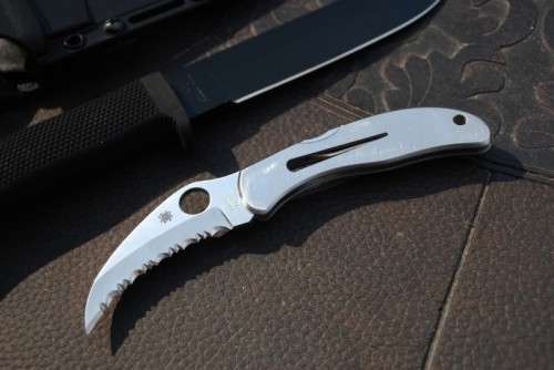 Spyderco Harpy