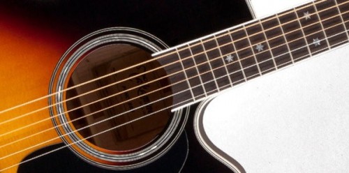 Takamine P6NC