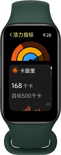 Xiaomi Redmi Band 2