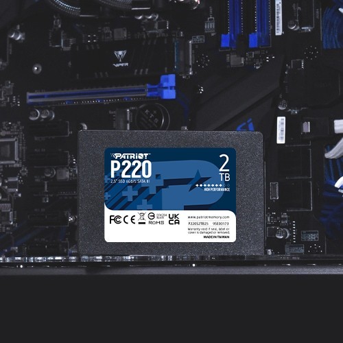 Patriot Memory P220S2TB25