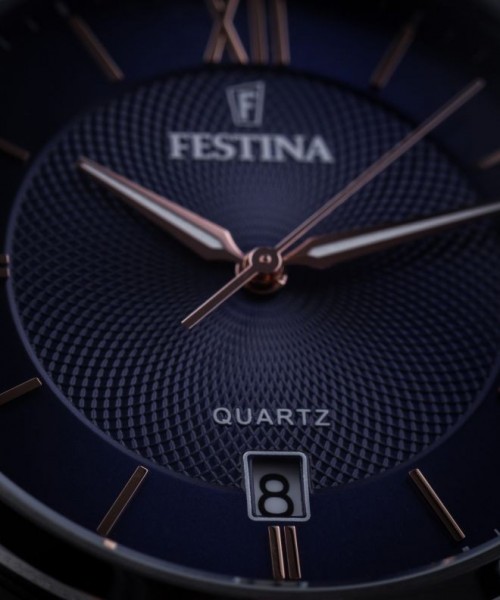 FESTINA F20425/5