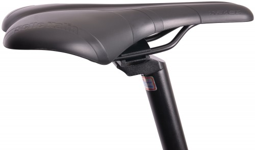 MBM Maxilux 29 2022