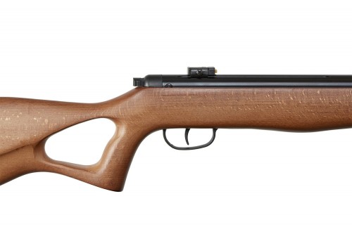 Beeman Hound GP