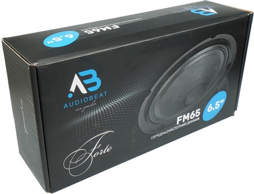 AudioBeat Forte FM65