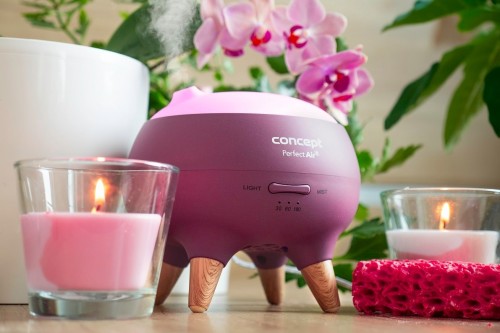 Concept Perfect Air Berry DF1011