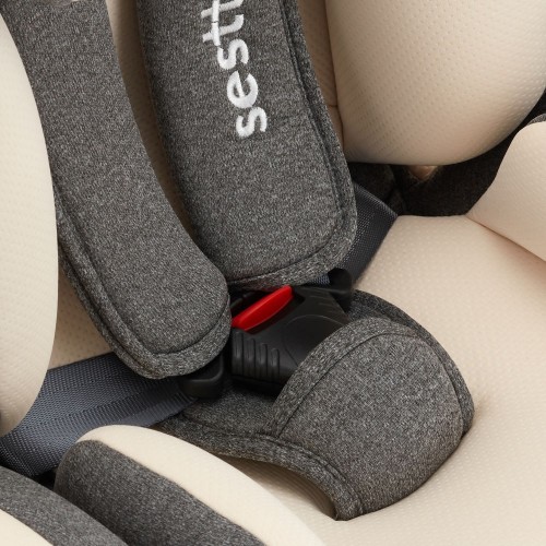 Sesttino Rocker Isofix