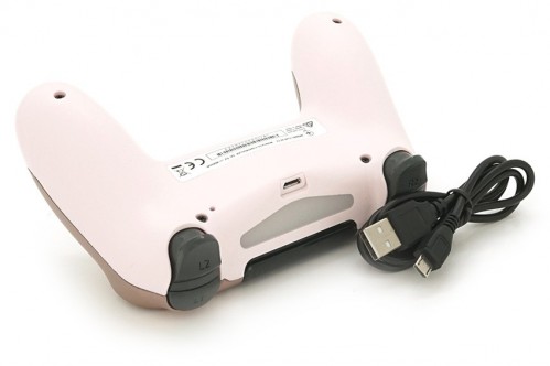 Brazzers Wireless Gamepad for PS4