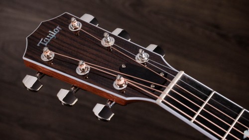 Taylor Legacy 815e