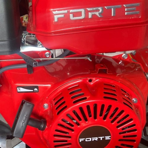 Forte 1000 AG
