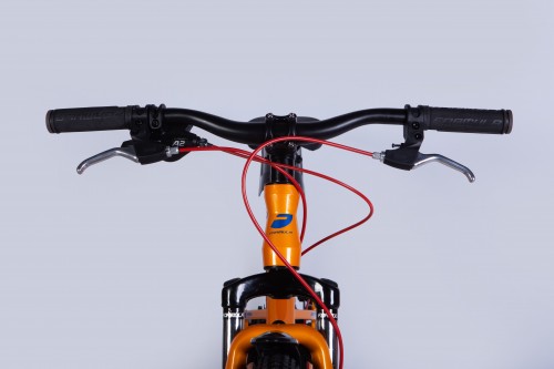 Formula Acid DD FR 24 2025