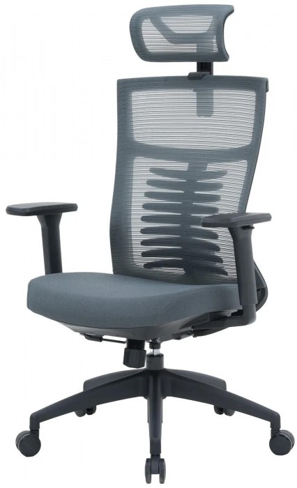 OfficePro Balance OC550